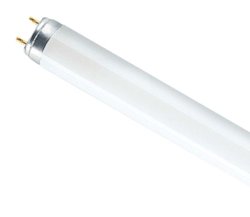 Лампа L18 W/640 Rus, d=26мм, G13, 590 мм, теплого свечения