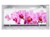 Экран для ванн 1,68 м "МЕТАКАМ", Ультра легкий АРТ, Дикая орхидея (сотовый поликарбонат)