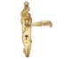 Ручка дверная ARCHIE GENESIS RIZO на длинной накладке под фиксатор (OL) матовое золото