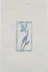 Плитка Шахтинская Венера декор голубой 20х30