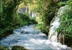 Фотообои ТУЛА Тропический водопад 294/201 9листов