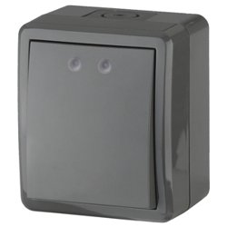 Выключатель одноклавишный ОП Эра Эксперт IP54, серый (10АХ-250В) арт.11-1401-03