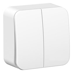 Выключатель двухклавишный ОП Blanca 10А бел. SE BLNVA105001 Systeme Electric