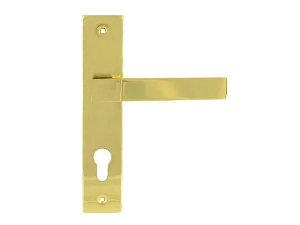 Ручка дверная на планке Нора-М 109-70 мм золото