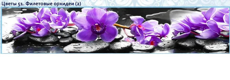 Панель-фартук АВС УФ-печать лак Цветы51 Фиолетовые орхидеи 2000*600*1,5мм Оптион