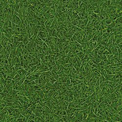*Линолеум IVC VISION Grass T25 (2м) ПОД ЗАКАЗ,КРАТНО РУЛОНУ