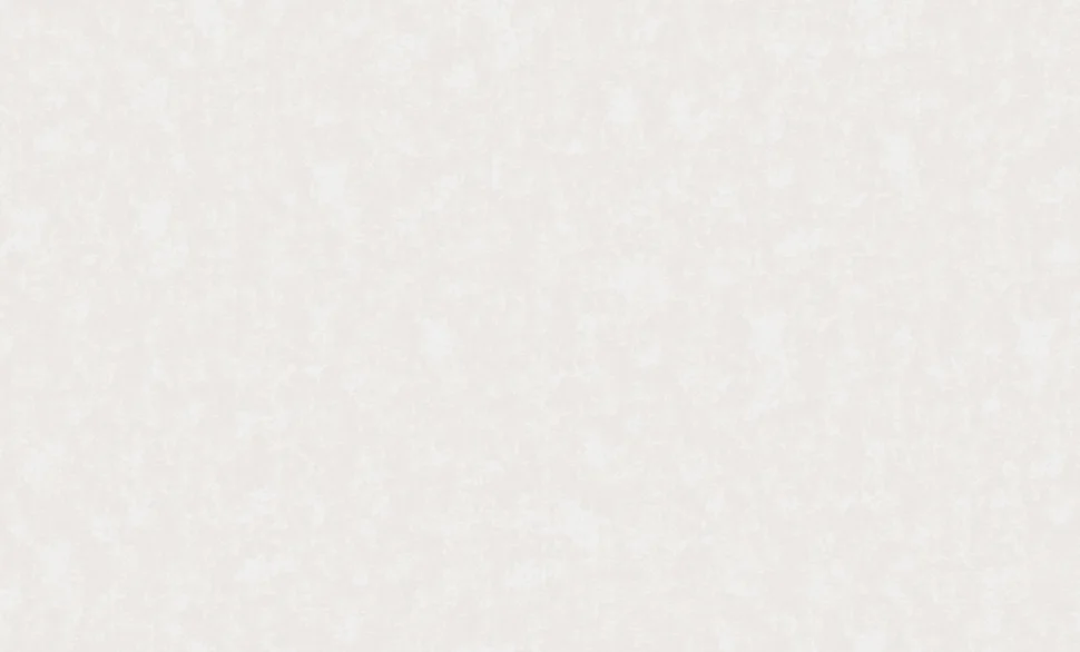 Обои АНТУРАЖ арт.168460-11 виниловые горячего тиснения на флизелиновой основе 10*1,06 Легенда фон