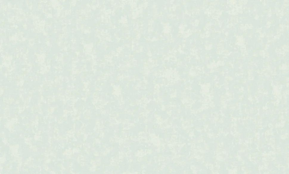 Обои АНТУРАЖ арт.168460-18 виниловые горячего тиснения на флизелиновой основе 10*1,06 Легенда фон