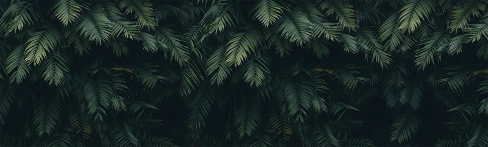 Панель-фартук АВС УФ-печать лак Миражи43 Пальмовые джунгли 2000*600*1,5мм Оптион