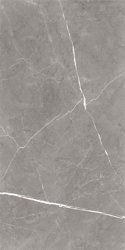 Керамогранит GLOBAL TILE Encanto серый 60*120 арт.GT120603001MCR