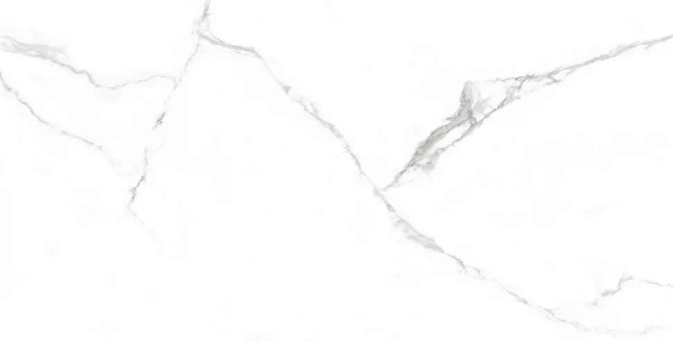 Керамогранит LAPARET Mars Grey белый 60x120 матовый Карвинг