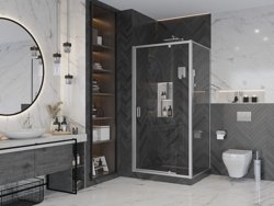 Дверь в нишу Ambassador Elysium 111021103KX (900x2000) с боковой стенкой Elysium 90KX (900x2000)