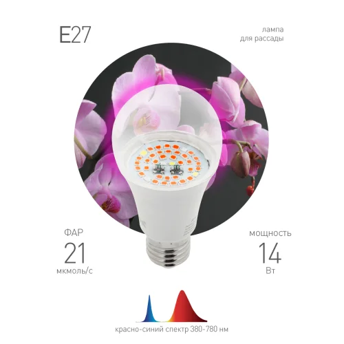 Лампа светодиодная для растений ЭРА FITO-14W-RB-E27 красно-синего спектра 14 Вт Е27