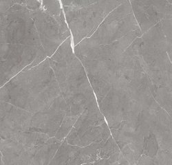 Керамогранит GLOBAL TILE Энканто/Encanto серый 60*60 арт.GT60603001MCR