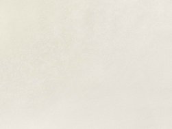 Обои ELYSIUM арт.Е702510 виниловые на флизелиновой основе горячего тиснения 1,06*10м Вега фон (акция)