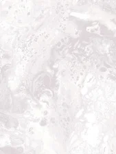 Обои WALLSECRET COMFORT арт.8897-24 виниловые горячего тиснения на флизелиновой основе 1,06*10,05м Vesuvio декор