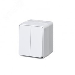 Выключатель двухклавишный ОП AtlasDesign PROFI IP54 10AX белый SE ATN540151