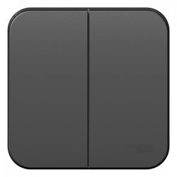 Выключатель двухклавишный ОП Blanca 10А IP20 (сх. 5) 250В с изолир. пластиной антрацит SE BLNVA105016