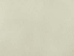 Обои ELYSIUM арт.Е801804 виниловые на флизелиновой основе горячего тиснения 1,06*10м Юнга фон (акция)