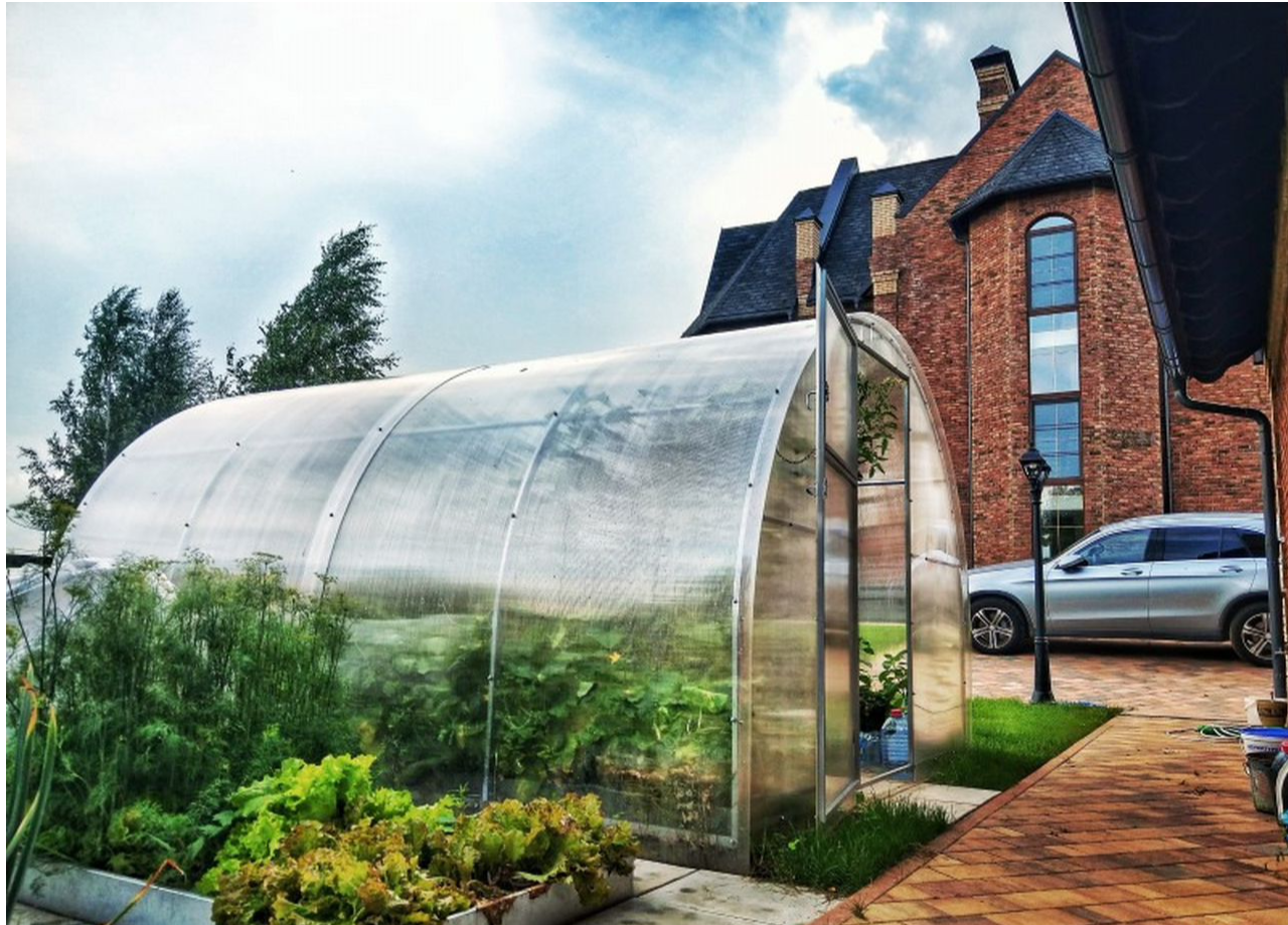 Теплица из поликарбоната: как выбрать и подготовить к посадкам