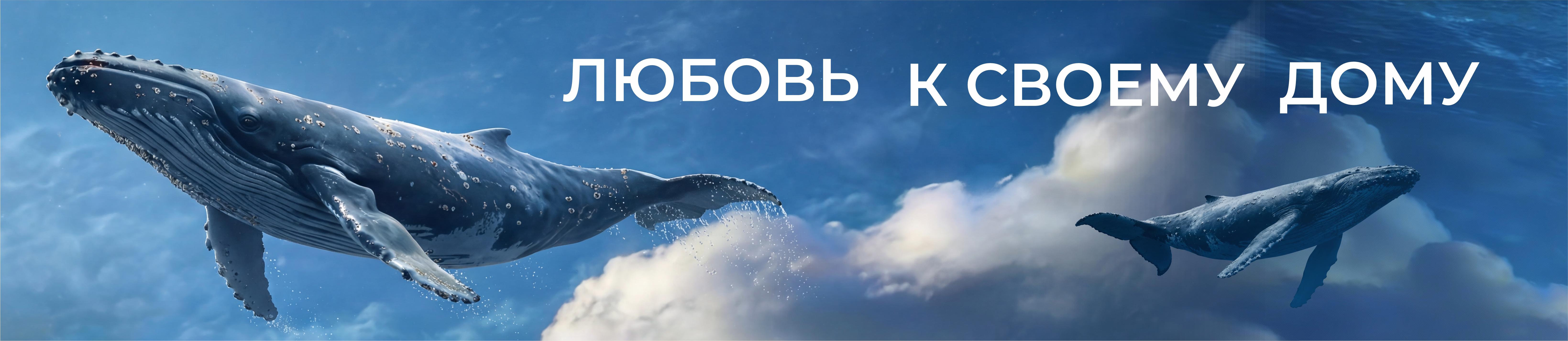 Мейнстрим февраль