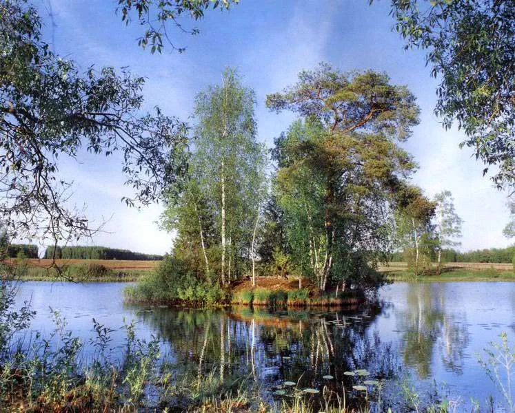 Фотообои ТУЛА Тихая заводь 294 /2019листов арт. 76
