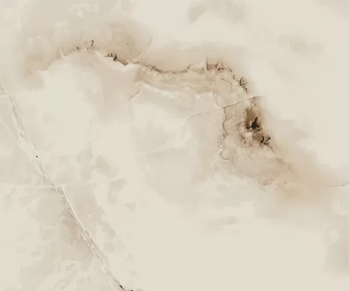 Керамогранит ABSOLUT GRES Silk Onix 600x600 gloss