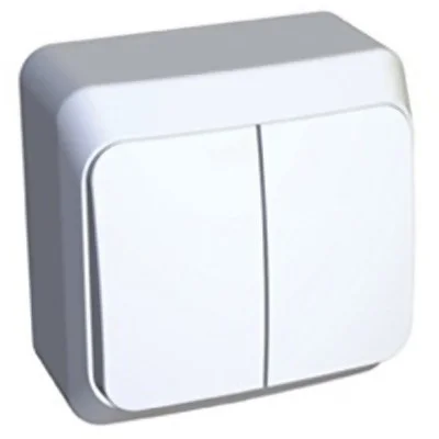 Выключатель двухклавишный ОП Этюд 10А бел. SE BA10-002B Systeme Electric