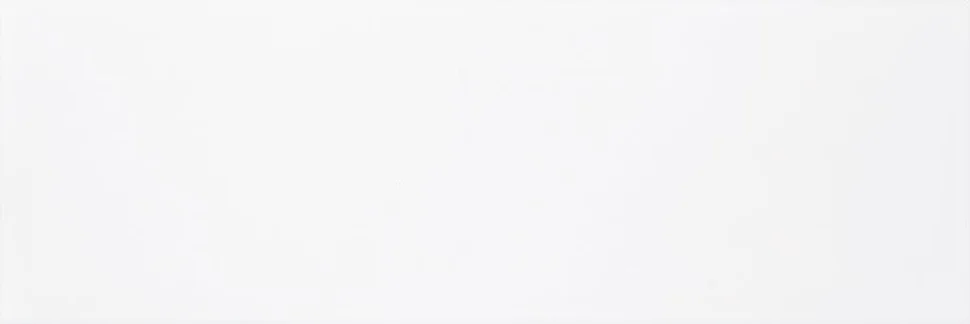 Плитка Ceramika Konskie Botanica White snow glossy 25x75