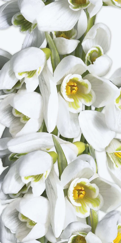 Панель ПВХ 0,25*2,7м Термопечать 826 Подснежники Рисунок Грин Лайн