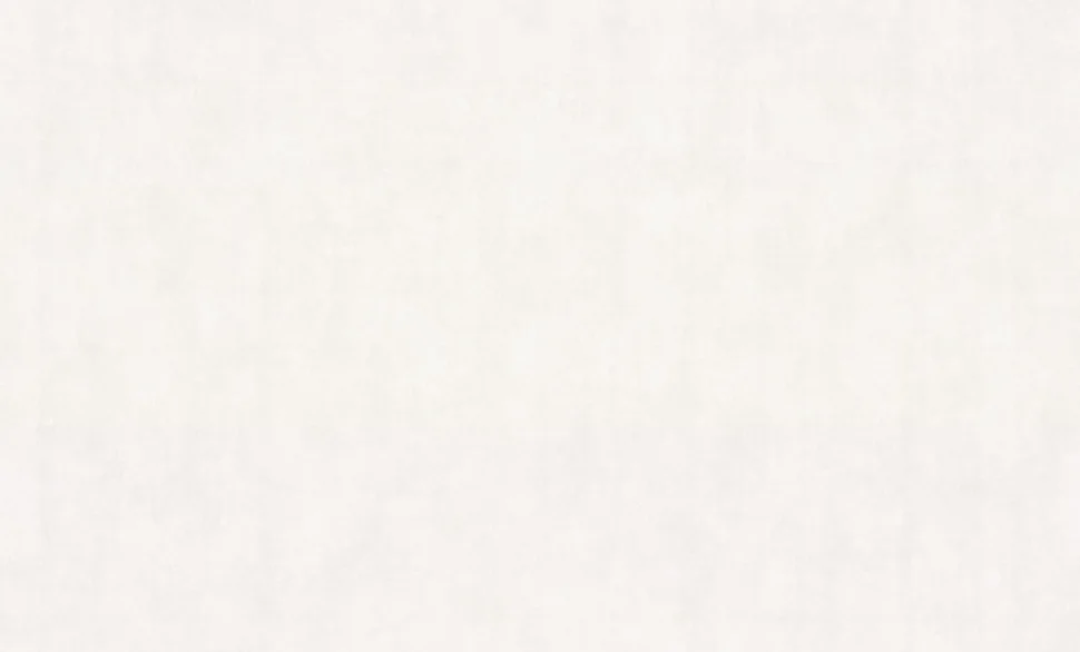 Обои Palitra Family арт.FM72591-14 виниловые горячего тиснения на флизелиновой основе 1,06*10м Alberta фон