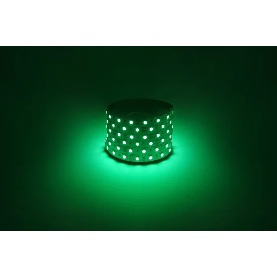 Лента светодиодная ЭРА LS5050-14,4-60-12-G-IP20-1 year-5m зеленый
