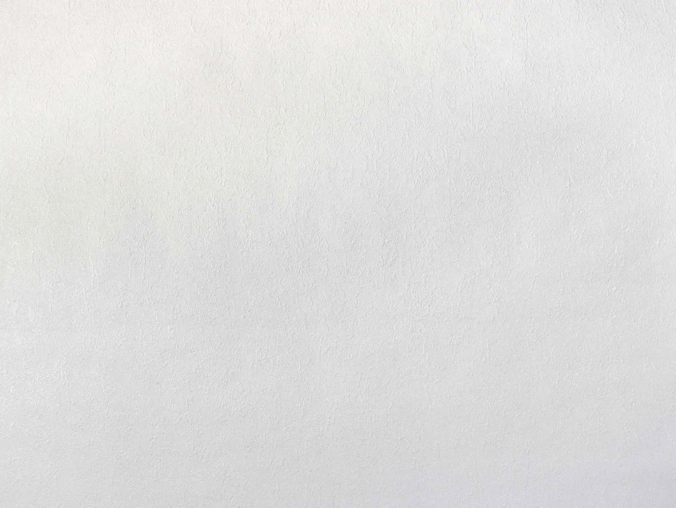 Обои ELYSIUM арт.Е302600 виниловые на флизелиновой основе горячего тиснения 1,06*10м Акцент фон (акция)