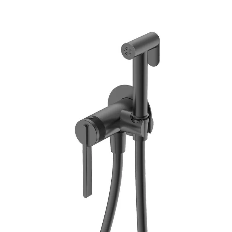 Смеситель DQ Bonn DA1704506 для ванны встраиваемый с гигиеническим душем, цвет графит