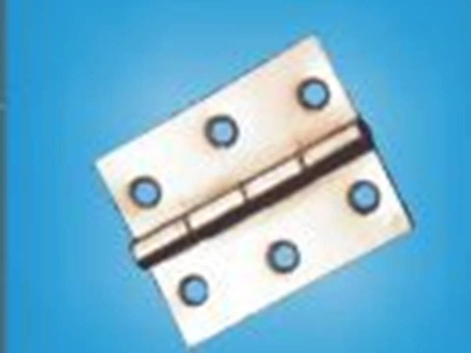 Петля карточная 50*40 цинк