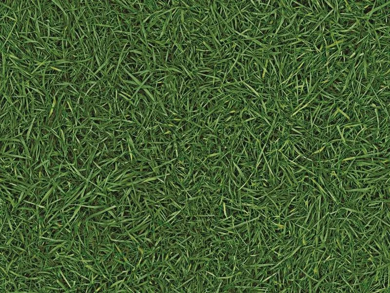 *Линолеум IVC HOME VISION Grass T25 (2м) ПОД ЗАКАЗ,КРАТНО РУЛОНУ