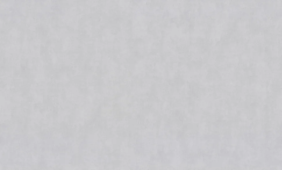 Обои Palitra Family арт.FM72591-41 виниловые горячего тиснения на флизелиновой основе 1,06*10м Alberta фон