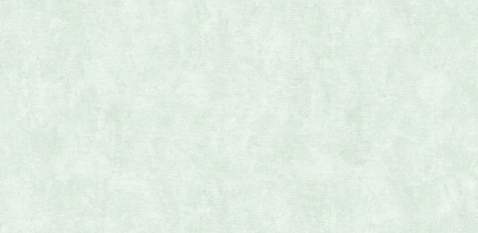 Обои ERISMANN арт.60662-06 виниловые горячего тиснение на флизелиновой основе 1,06*10,05м Benefit Alonso фон