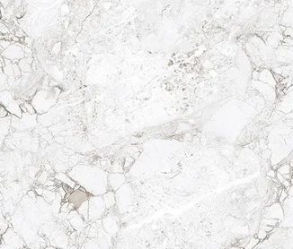 Керамогранит ABSOLUT GRES Rossalia Natural 600x600 gloss