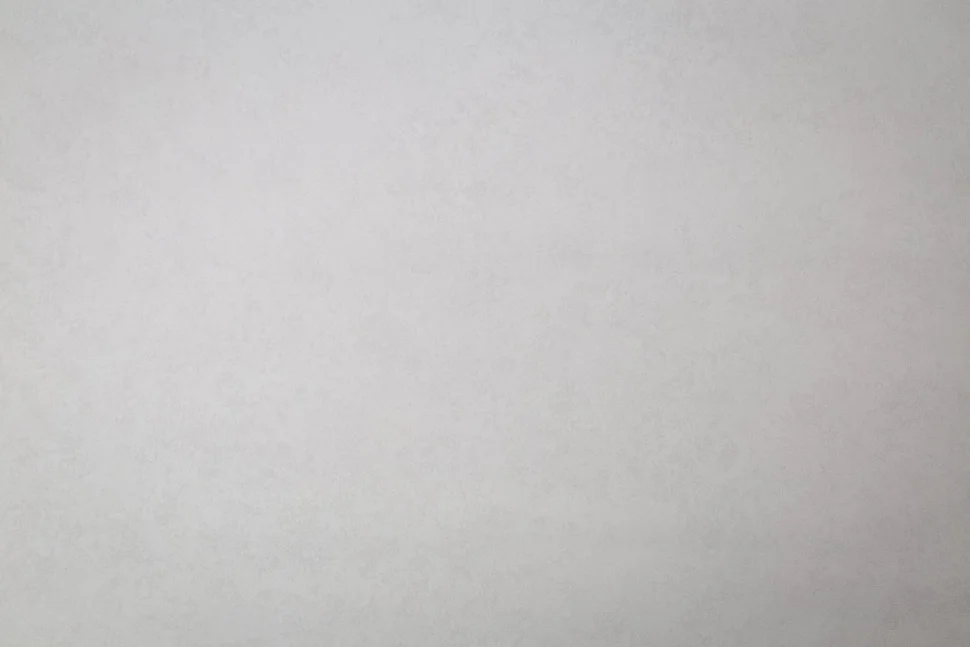 Обои Palitra Family арт.FM72540-14 виниловые горячего тиснения на флизелиновой основе 1,06*10м Levia фон