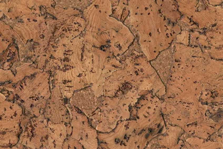 Пробковое покрытие CORKSTYLE Wall Design Monte Nat 600*300*3мм