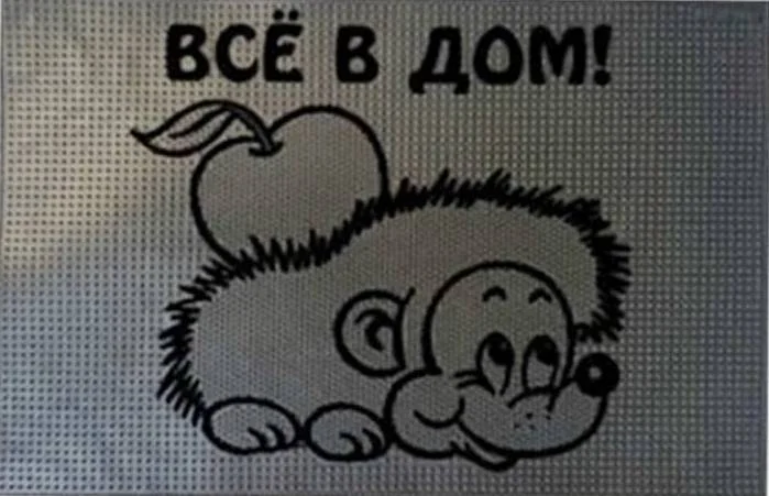 Коврик резиновый 40х60 см "Всё в дом!", черный, SunStep