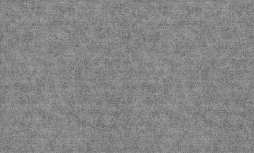 Обои P+S арт.12232-29 виниловые горячего тиснение на флизелиновой основе 1,06*10м Элизиум/Elysium фон