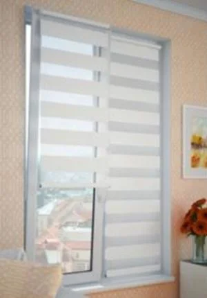 Штора рулонная "День/Ночь" белый 57*170см DDA