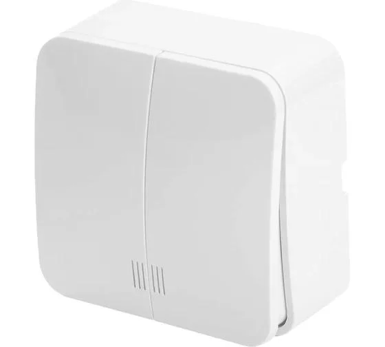 Выключатель двухклавишный ОП с индикатором 250В, 10А, IP20, серия София, белый, MSW10-21-01