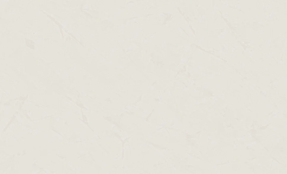 Обои ERISMANN арт.60466-02 виниловые горячего тиснение на флизелиновой основе 1,06*10,05м StarWay фон