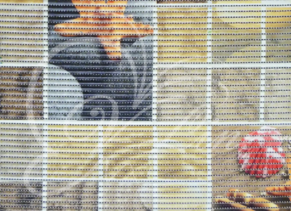 Коврик из вспененного ПВХ фотопечать 1,30х15м FV8