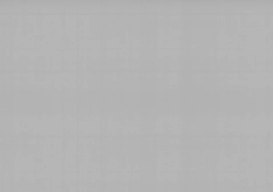 Обои Palitra Style арт.SL72616-44 виниловые горячего тиснения на флизелиновой основе 1,06*10м Glamur фон