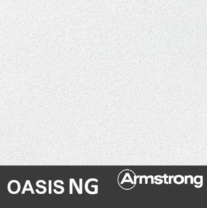 Плита потолочная ARMSTRONG OASIS NG Board grit 0,2-0,5 600х600х12 огнестойкая (7,2 м2 20 шт/уп)