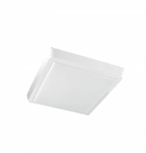 Светильник Фарлайт светодиодный СПО PROFI 12 Вт 6500К 167*167 IP44 КВАДРАТ